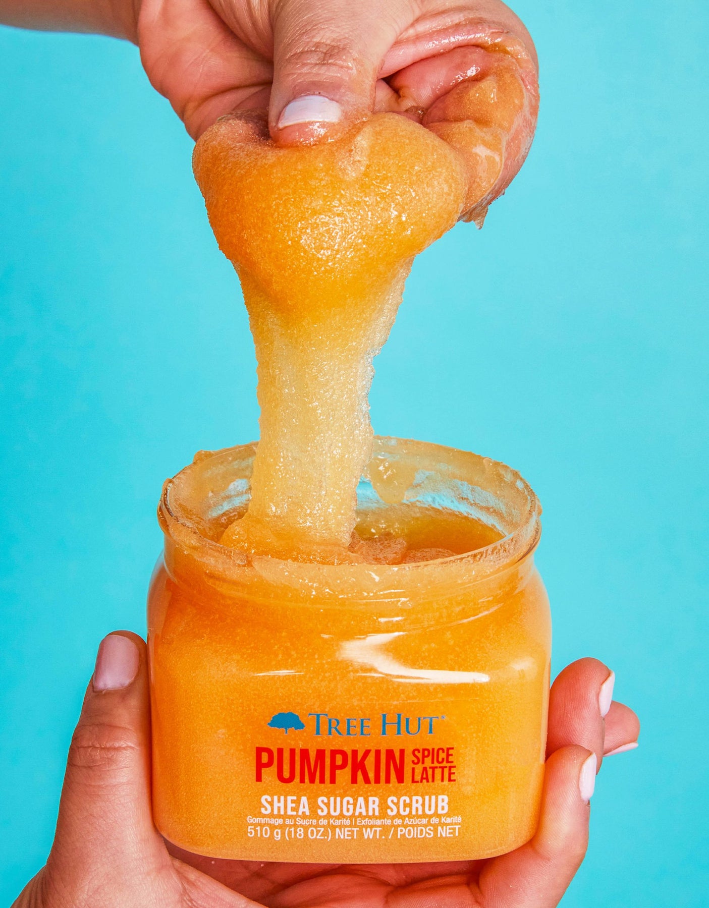 Pumpkin Spice Latte Sugar Scrub - A Pumpkin And A Princess