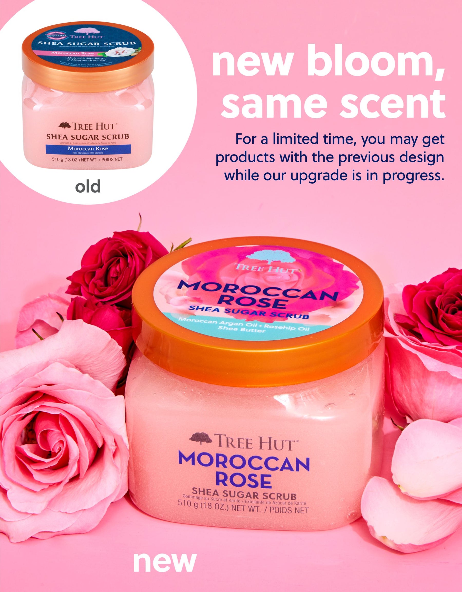 Purchases Moroccan Rose 27.5oz